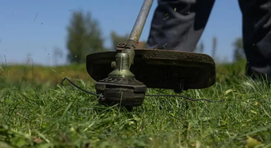 Zbliżenie na głowicę podkaszarki z żyłką, gotową do pracy. Dowiedz się, jak założyć żyłkę do podkaszarki i przywrócić jej moc.
