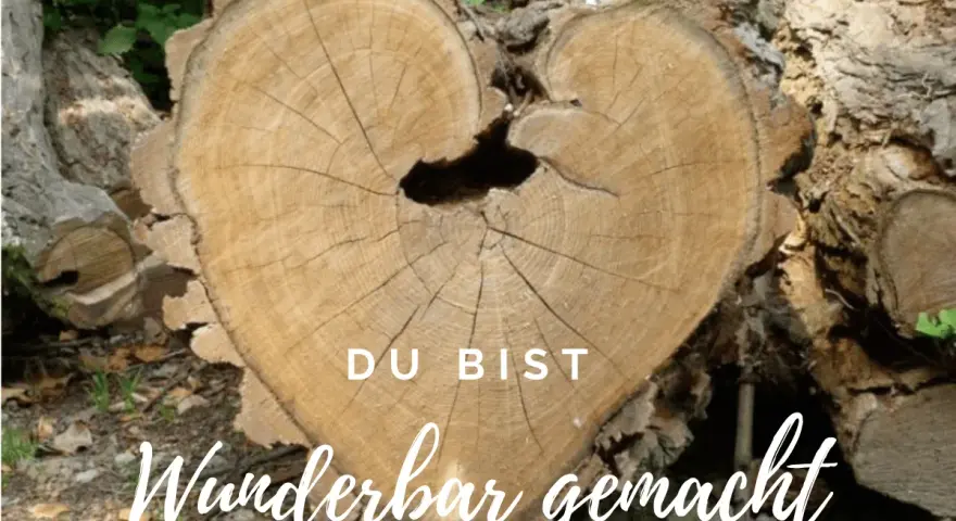 Herzförmiger Baumstamm mit Jahresringen, der an Psalm 139,14 erinnert: "Ich danke dir dafür, dass ich auf wunderbare Weise gemacht bin.