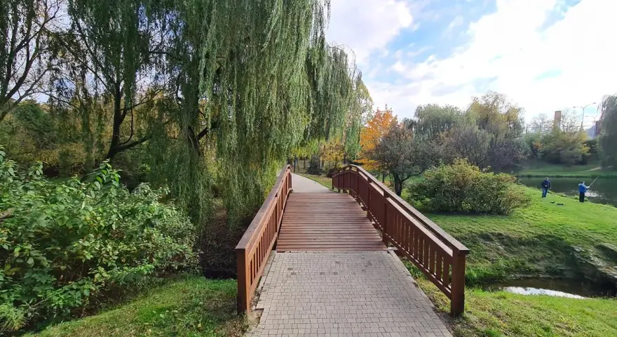 Drewniany mostek nad strumieniem, otoczony płaczącymi wierzbami i zielenią, tworzy urokliwe, romantyczne miejsca w Kaliszu.