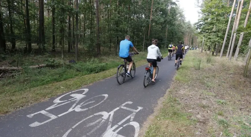 Grupa rowerzystów przemierza leśne trasy rowerowe Bydgoszcz. Ścieżka jest oznakowana symbolami rowerów.
