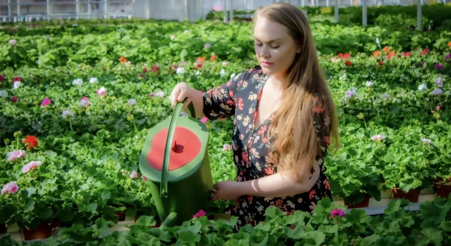 Kvinna vattnar blommor i ett växthus. Hon håller en grön vattenkanna och ger guldvatten inomhus till de frodiga plantorna.