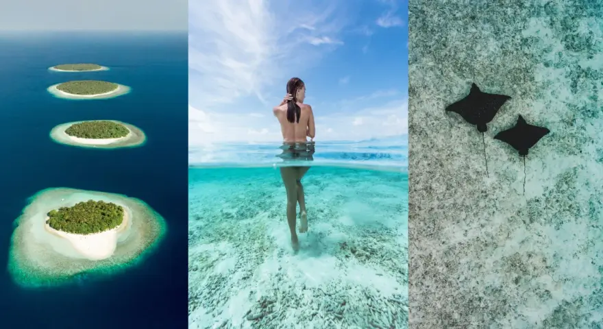 Wyspy na oceanie, kobieta w wodzie, płaszczki. Czy to Mauritius czy Malediwy? Rajskie widoki.