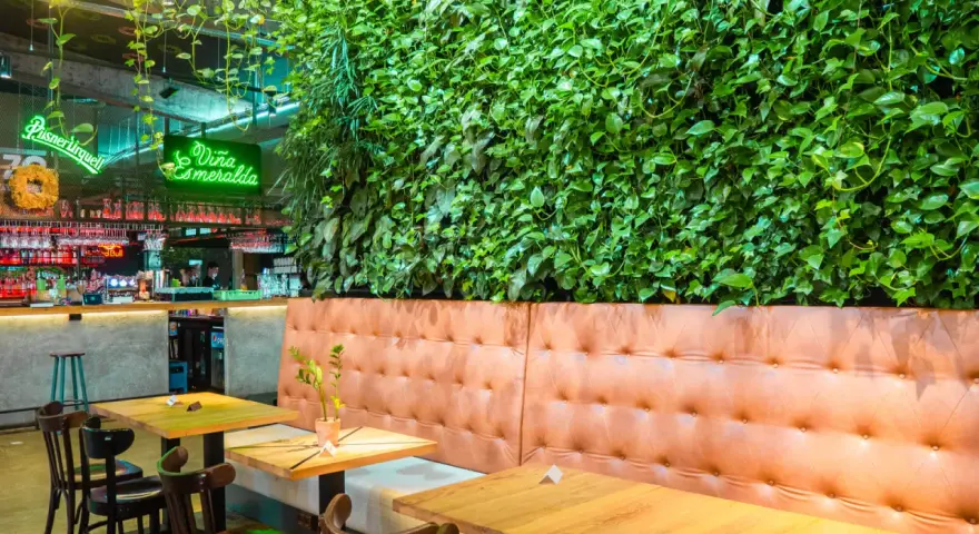 Wnętrze restauracji z zieloną ścianą i wygodnymi lożami. Idealne miejsce na odkrycie najlepszych restauracji w Krakowie - Ranking top 6.