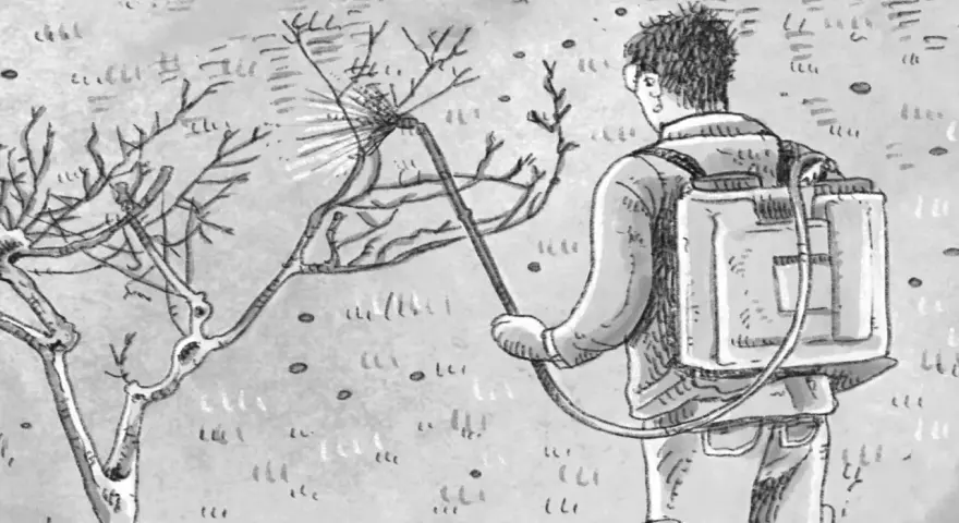 Uomo con zaino irroratore tratta un albero da frutto spruzzando. Illustrazione che ricorda una tabella trattamenti alberi da frutto.