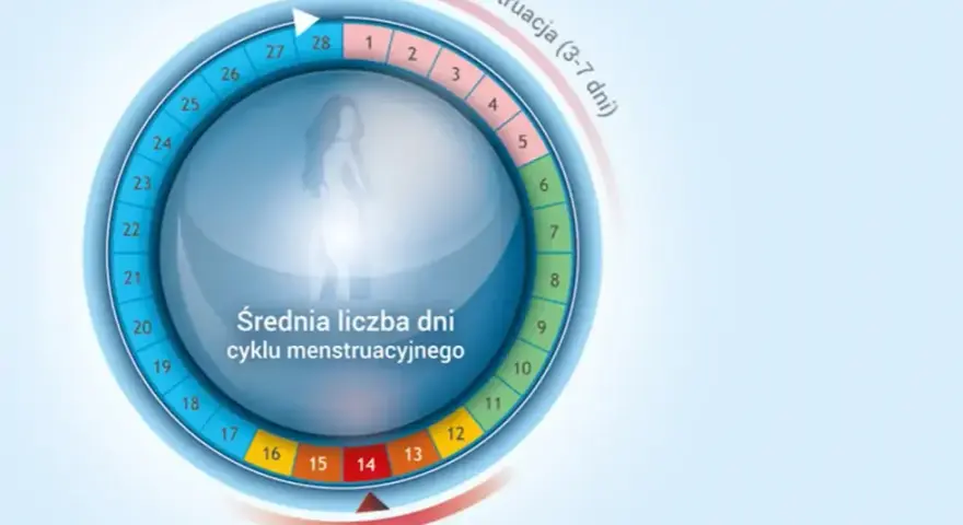 Kiedy kobiety mają dni płodne? Poznaj metody na ich określenie