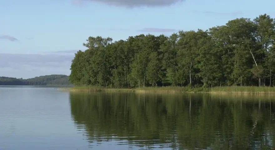 Spokojne jezioro z odbijającym się lasem w tle. Czy to właśnie tu znajduje się najgłębsze jezioro w Polsce?