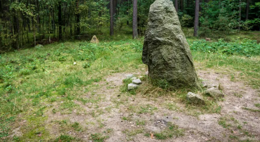 Kamienne kręgi na Kaszubach, tajemnicze głazy w lesie, świadkowie dawnych czasów.