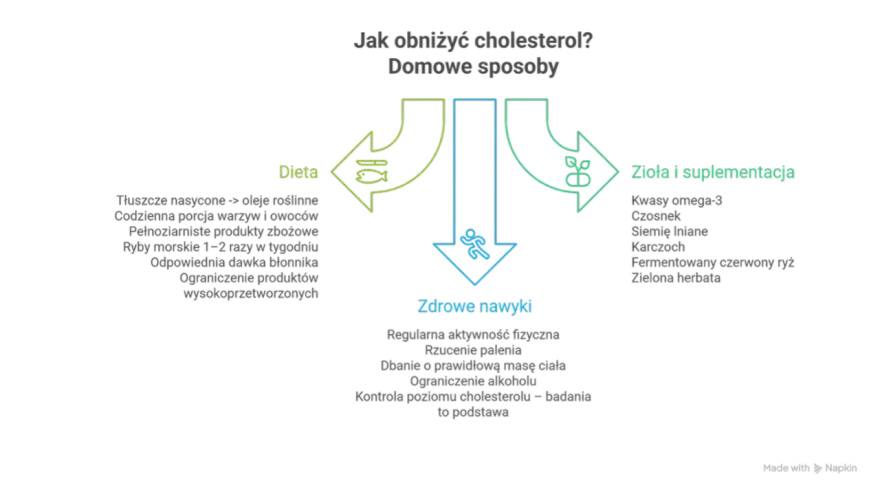 Jak obniżyć cholesterol bez leków? Schemat pokazuje dietę, zdrowe nawyki i zioła/suplementy.