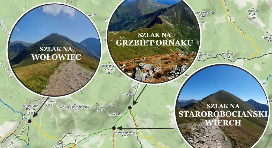 Trzy górskie szlaki: na Wołowiec, Grzbiet Ornaku i starorobociański Wierch. Widok na skaliste, trawiaste zbocza Tatr.