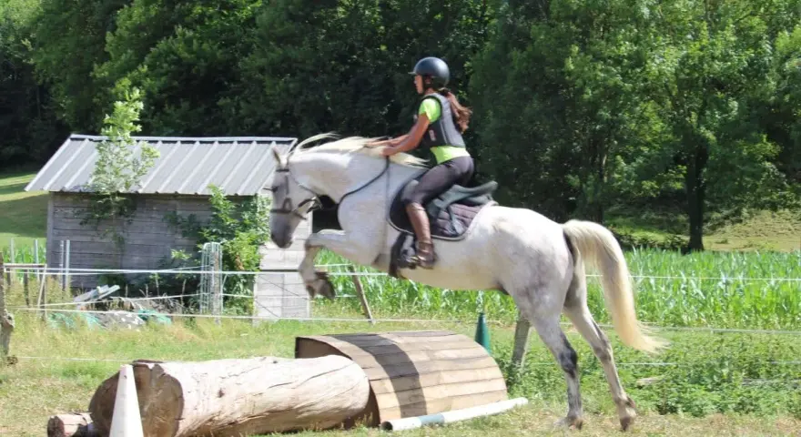 Une cavalière et son cheval blanc franchissent un obstacle en CSO équitation. Le cheval saute par-dessus un tronc d'arbre et une structure en bois.
