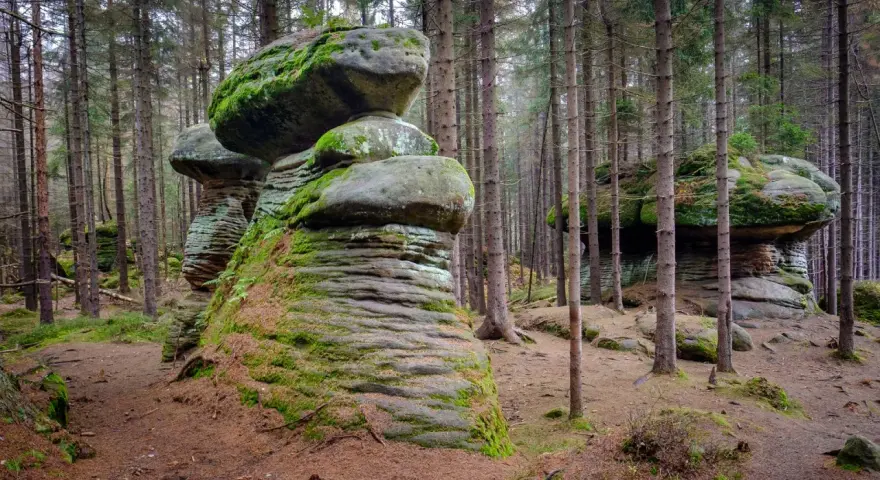 Skalne grzyby porośnięte mchem w lesie. Te naturalne formacje skalne przypominają gigantyczne grzyby, tworząc niezwykły krajobraz.