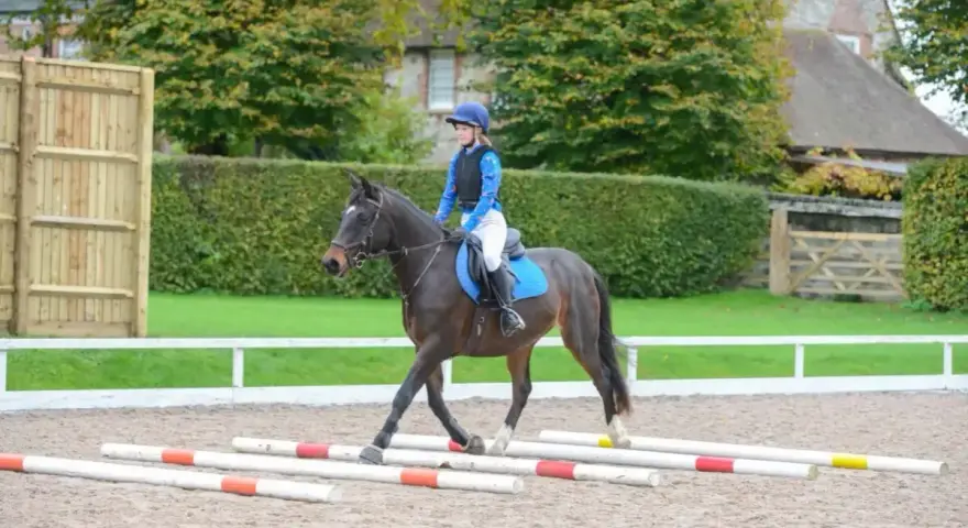 Cheval au trot passant sur des barres au sol. La cavalière ajuste sa posture pour la distance barre de réglage au trot.