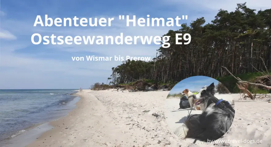 Zwei Hunde genießen den Ostseewanderweg E9 von Wismar bis Prerow. Ein Abenteuer an der Küste.