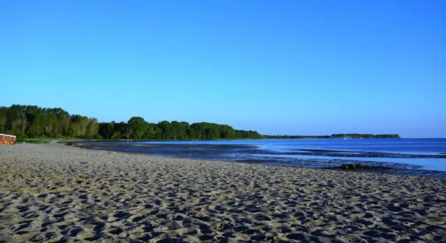 Sonniger Zierow Strand mit Sand, Bäumen und ruhigem Wasser unter blauem Himmel.