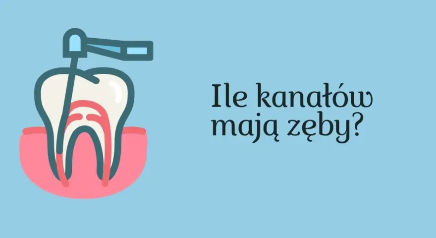 Ząb 5 ile ma kanałów? Odkryj zaskakujące różnice w budowie