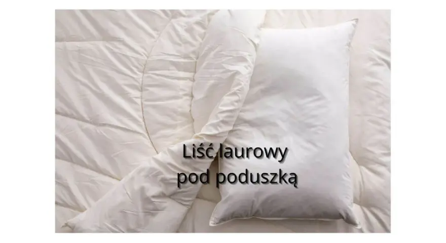 Biała pościel z poduszką. Tekst na poduszce: liść laurowy pod poduszką.