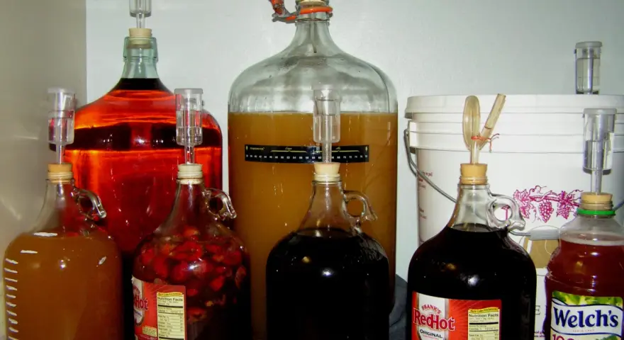 Wiele butli z płynami do fermentacji, w tym z owocami i sokiem winogronowym. To inspiracja, jak zrobić wino proporcje.