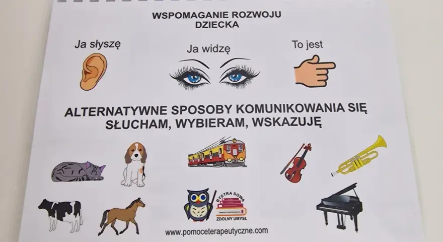 Alternatywne sposoby porozumiewania się osób niesłyszących, które działają