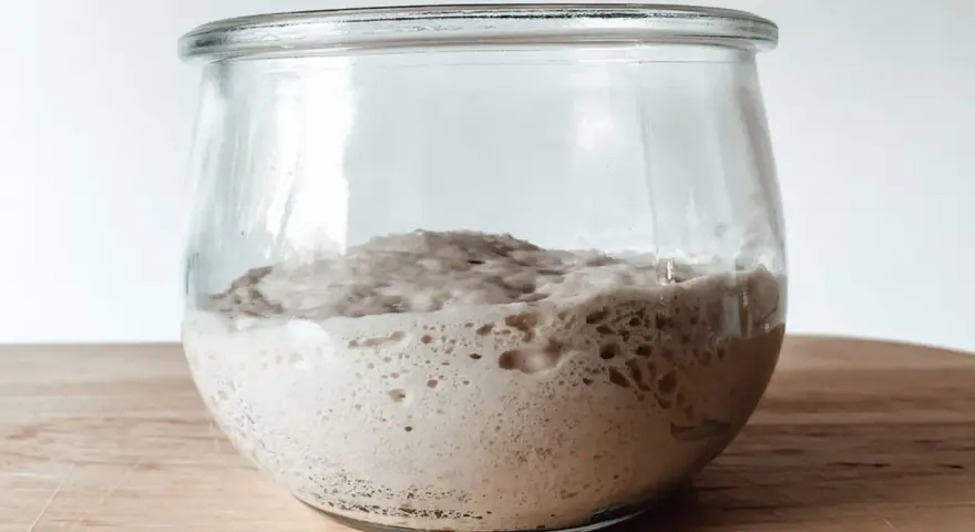 Aktiver Sauerteig im Glas, bereit für ein Lievito Madre Rezept. Blasen zeigen die Gärung.