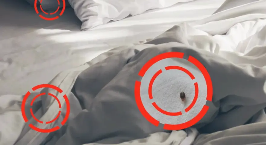 Una chinche en la cama, señalada con círculos rojos. Aprende cómo quitar las chinches de la cama para un descanso seguro.