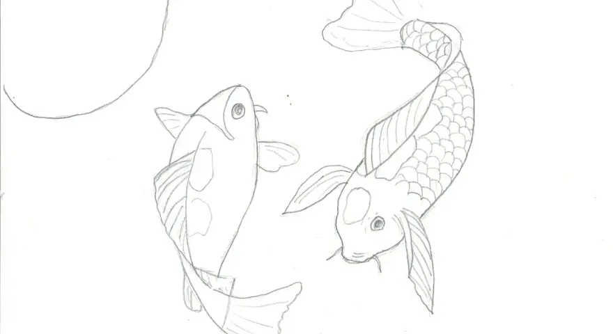 Två koi-karpar i blyerts, redo att måla fisk. En svagt böjd linje antyder en bubbla eller en vattenyta.