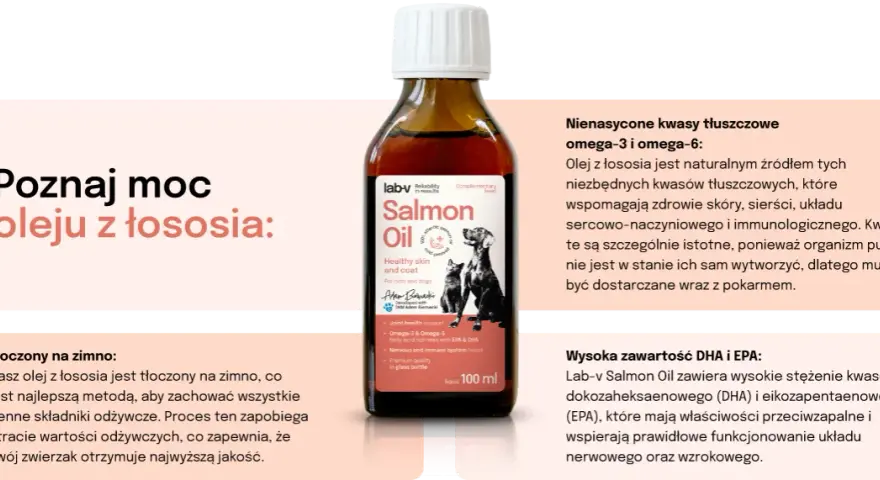 Jaki olej z łososia dla psa? Najlepsze produkty dla zdrowia pupila