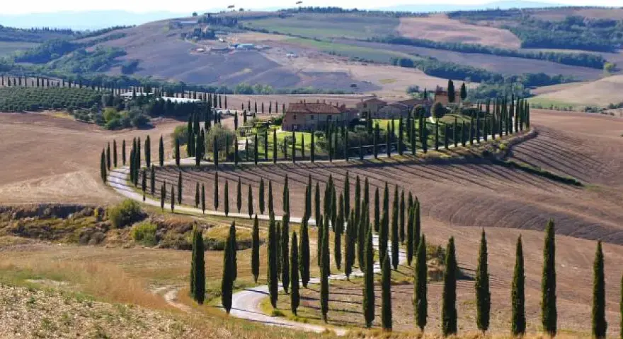 Strade sinuose e cipressi iconici nel parco della Val d'Orcia, con un casale in lontananza.