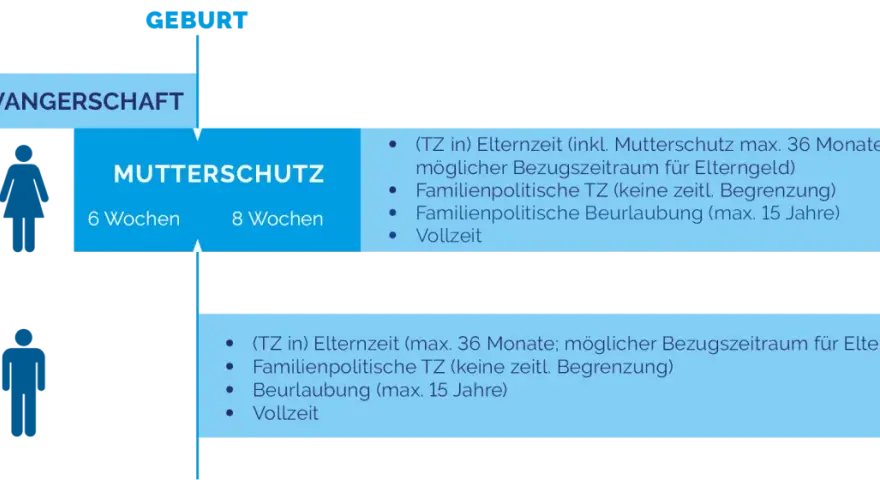 Schema zeigt, wie man Elternzeit beantragen kann. Mutter- und Vaterschutz, Elternzeit bis 36 Monate.