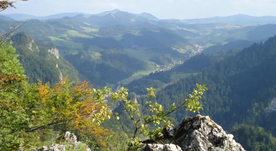 Widok na Pieniny, gdzie można zdobyć Trzy Korony i zobaczyć sokolicę w jeden dzień.