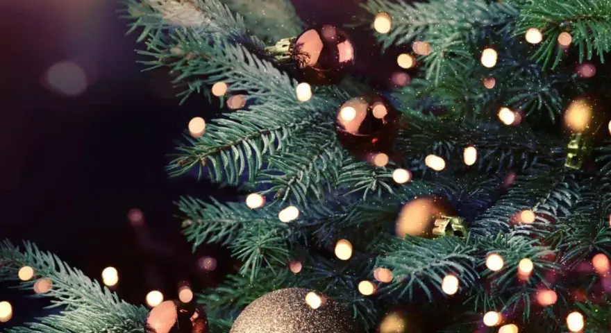 Choinka z bombkami i światełkami, które subtelnie rozświetlają gałązki. Zastanawiasz się, ile prądu zużywają lampki choinkowe?