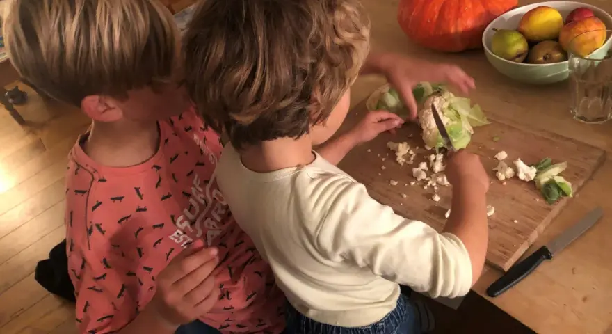 Zwei Kinder helfen im Haushalt und schneiden Blumenkohl. Ein Kürbis und Obst liegen daneben.