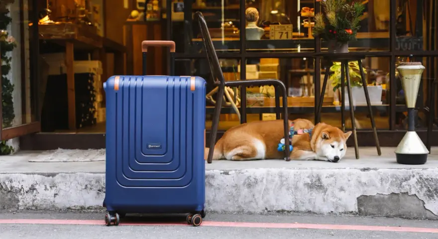 En blå resväska står redo för en resa utomlands. En söt shiba inu vilar bredvid, som om den också väntar på att packa sin packlista utomlands.