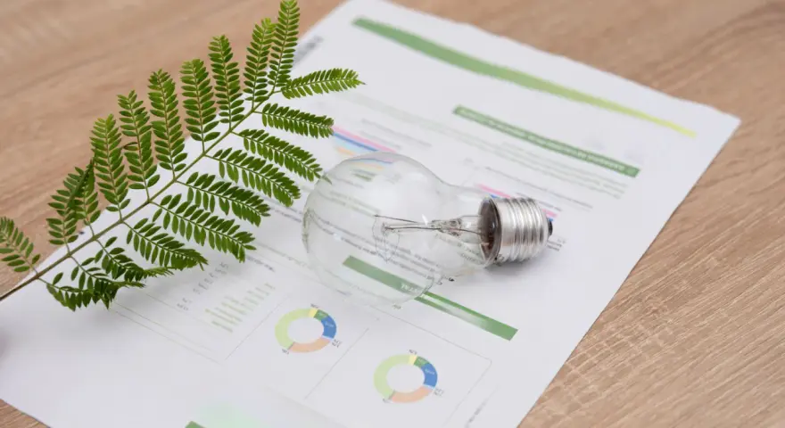 Gałązka zieleni i żarówka na papierze z wykresami, sugerujące analizę kosztów energii, np. eon taryfa c11.