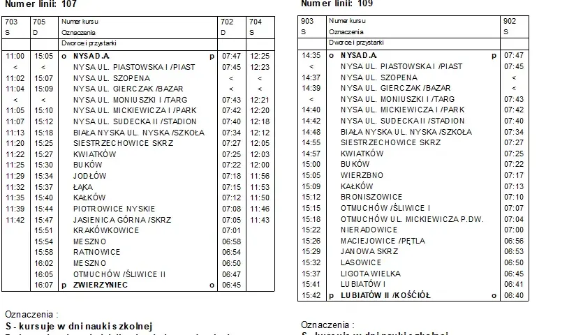 Skąd odjeżdża autobus Nysa? Adres, przewoźnicy, dojazd!