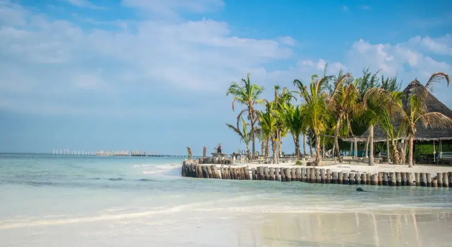 Ile trwa lot na Zanzibar? Czas, przesiadki i porady Kajetana