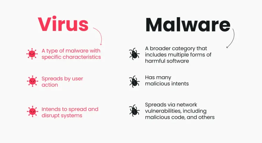 Comparación entre virus y malware. Un virus es un tipo de malware que se propaga por acción del usuario, mientras que el malware es una categoría más amplia de software dañino.