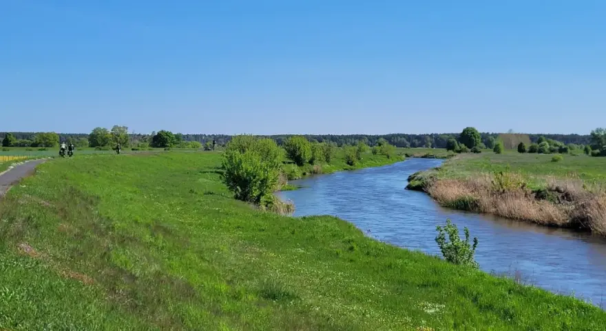 Malowniczy szlak rowerowy Odra Nysa wije się wśród zielonych łąk i lasów, nad błękitną rzeką.