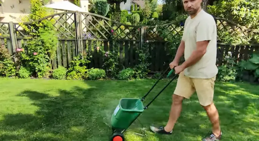 Mężczyzna z dredami pokazuje, jak ustawić siewnik do trawy, rozsypując nawóz na trawniku.