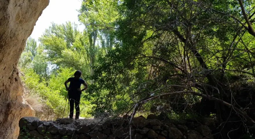 Persona con bastones de senderismo, disfrutando de las rutas por Siguenza, rodeada de vegetación exuberante y formaciones rocosas.