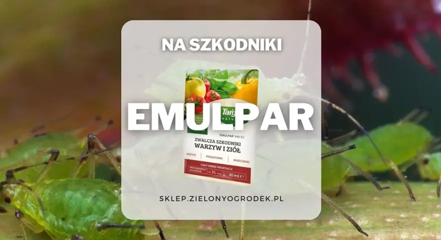 Emulpar 940 EC zwalcza mszyce i przędziorki. Sprawdź emulpar 940 ec dawkowanie na warzywa i zioła.