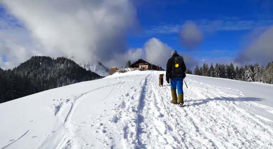 Winterliche Aueralm Wanderung: Ein Wanderer mit Hund bahnt sich den Weg durch tiefen Schnee zu einer Hütte, umgeben von verschneiten Bäumen und blauem Himmel.