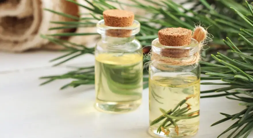 Dwa małe flakoniki z olejkiem sosnowym, idealne na przeziębienie i do aromaterapii.
