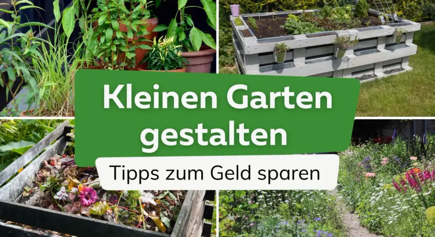 Tipps, wie man einen kleinen Garten gestalten kann, mit Bildern von Pflanzen, Hochbeet, Kompost und Blumen.