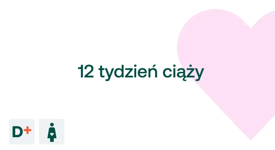 12 tydzień ciąży: dziecko rośnie, a serce mamy bije mocniej. Ikony D+ i kobiety w ciąży.