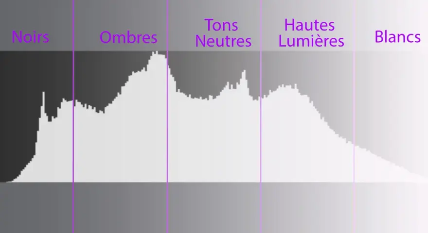 Comprendre comment lire un histogramme : une représentation graphique des tons d'une image, des noirs aux blancs, avec des zones pour les ombres, tons neutres et hautes lumières.