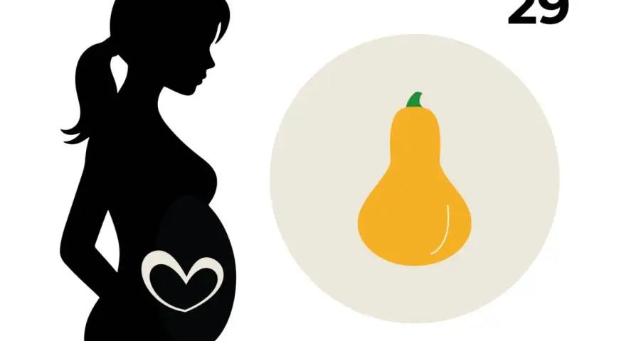 Schwarze Silhouette einer schwangeren Frau, die das 29. SSW-Baby mit einer Kürbisform vergleicht.