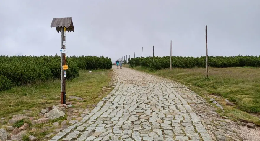 Kamienna ścieżka w górach, pośród kosodrzewin. Na pierwszym planie drewniany słup z drogowskazami, przypominający spaloną strażnicę.