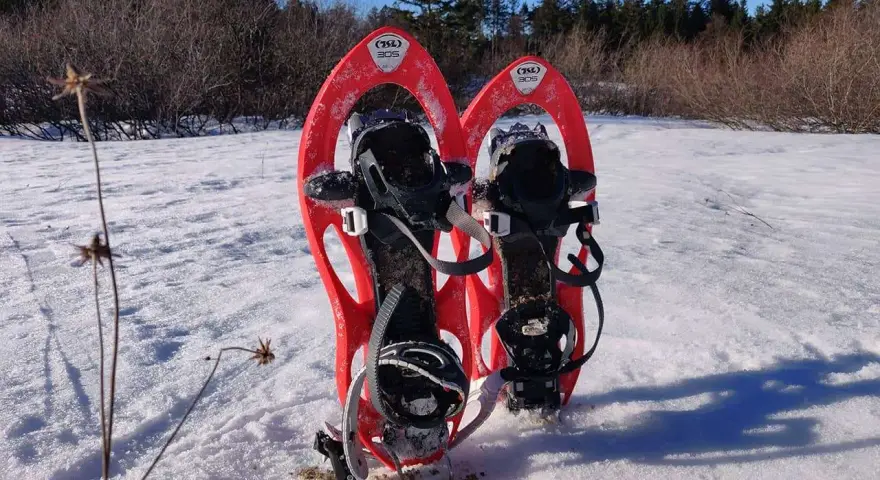 Raquettes TSL 305 rouges prêtes pour une aventure hivernale dans la neige.