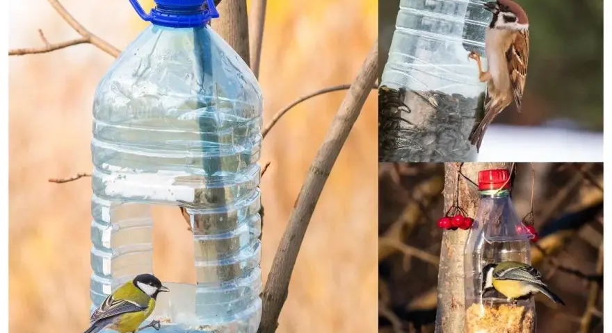 Pomysły karmnik dla ptaków diy: sikorka i wróbel jedzą z butelek PET.