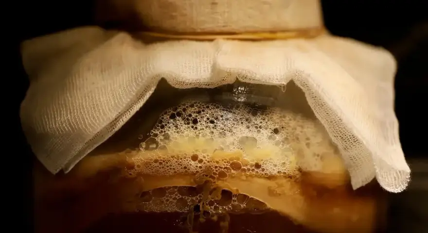 Ein Glas mit einer schaumigen, honigfarbenen Flüssigkeit, bedeckt mit einem weißen Tuch. Hier beginnt das Abenteuer, hefe selber machen!